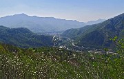 25 Bianche fioriture con vista verso Zogno e il Canto Alto